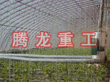 大棚花卉供暖設備、大棚卉采暖設備、大棚花卉取暖設備
