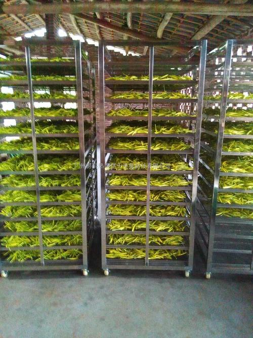 黃花菜烘干機(jī)、黃花菜烘干設(shè)備、黃花菜干燥機(jī)、黃花菜干燥設(shè)備、